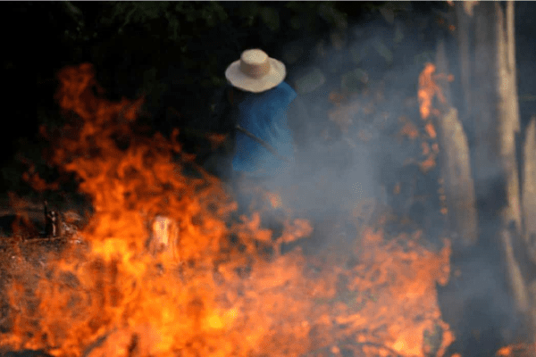 Polícia identifica fazendeiros suspeitos de provocar queimadas em florestas