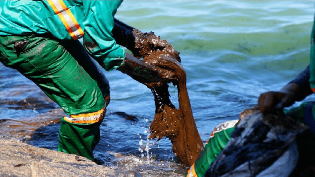 Pesca de camarão é proibida em praias atingidas por óleo no Nordeste