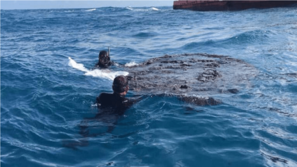 Navio grego é o principal suspeito das manchas de óleo diz Marinha