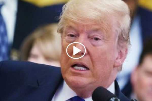 Impeachment de Donald Trump Presidente dos EUA entrega defesa sobre processo de impeachment