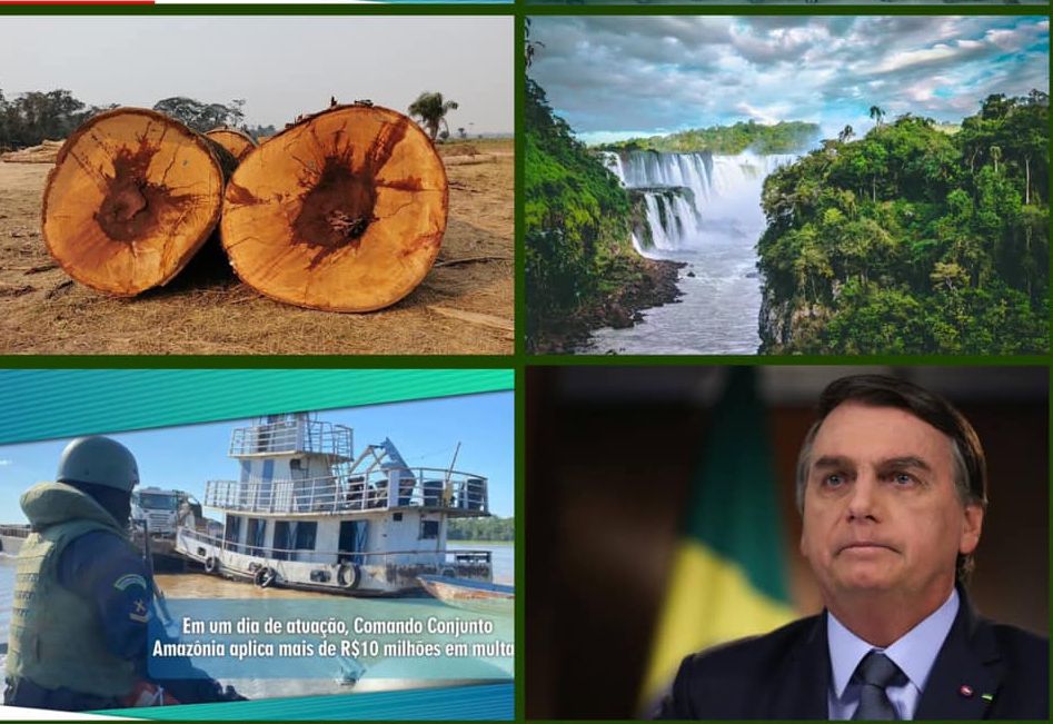 Governo Bolsonaro oferece apoio a governadores do MT e MS para o combate a queimadas no Pantanal