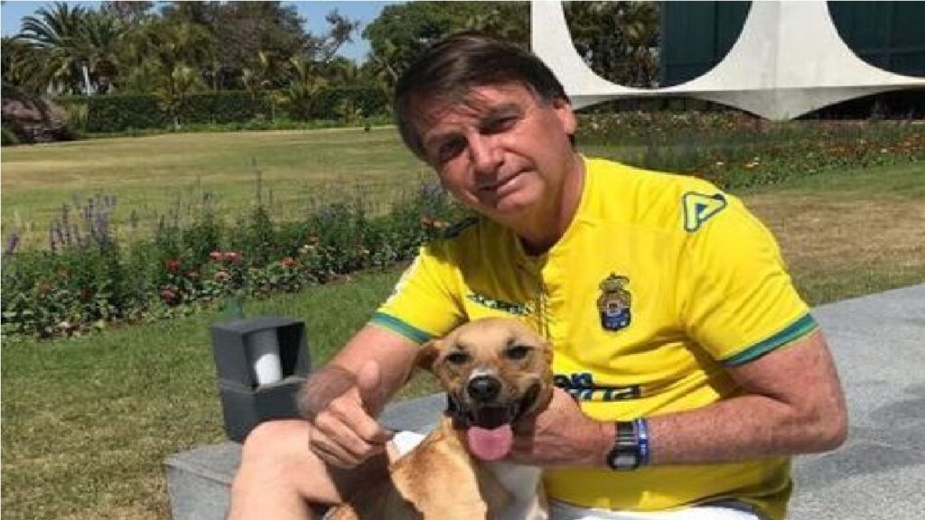 Presidente Bolsonaro sancionará nesta tarde, lei que aumenta pena para maus-tratos a animais