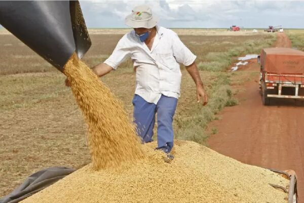 Brasil deve ter a maior produção de grãos da história